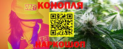 ешки Кингисепп