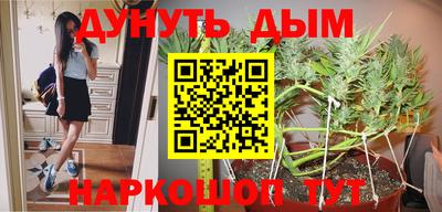 Альфа ПВП Кимры
