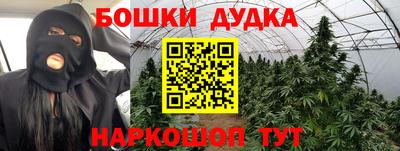 ешки Кингисепп