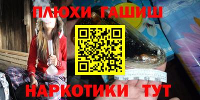 ешки Кингисепп