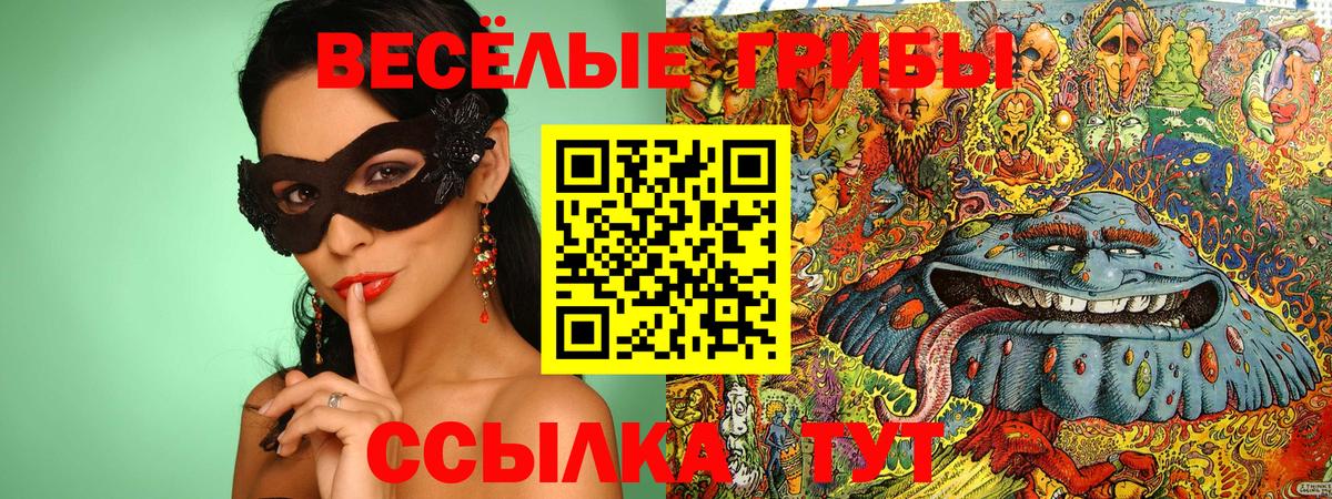 что такое наркотик  Галлюциногенные грибы GOLDEN TEACHER  Усть-Илимск  Вход с VPN  Псилоцибиновые грибы ЛСД 